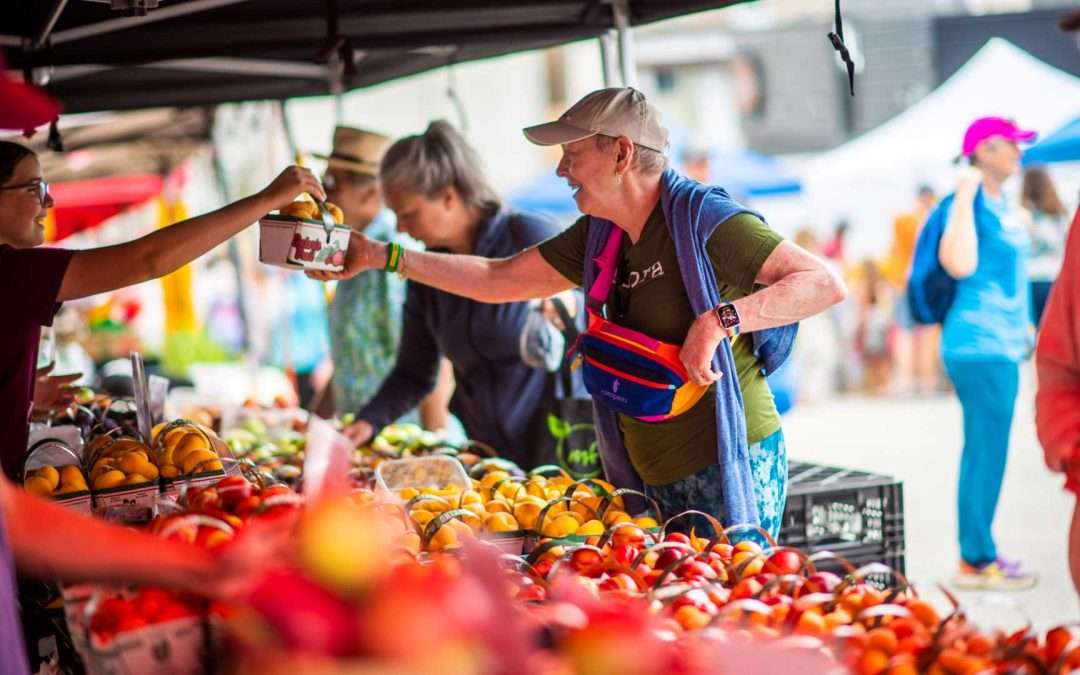 Seven things to do in Guelph this May long weekend