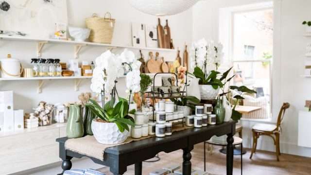 Sunday Blooms