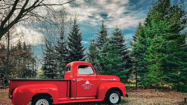 Red truck parked at Erin Hill Acres farm